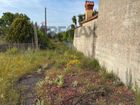 Estate Agents Picture 2