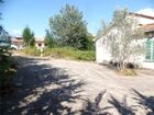 Estate Agents Picture 1