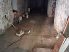 Estate Agents Picture 3