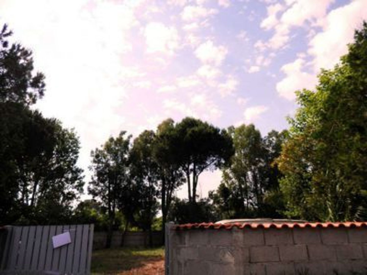 Terreno Edificabile in vendita a Roma
