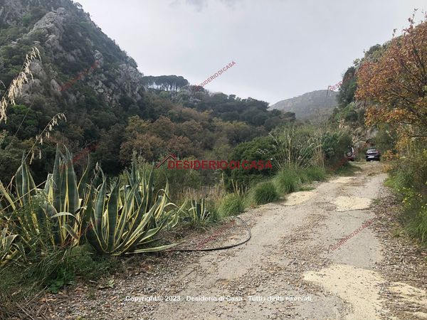 Terreno / Non edificabile / agricolo In Vendita
