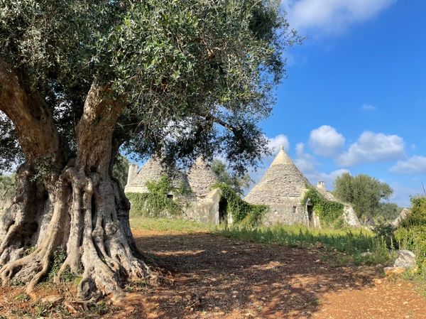 Trullo In Vendita